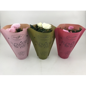 ROSA-HYBRID 10,5 PAPIEREN HOES