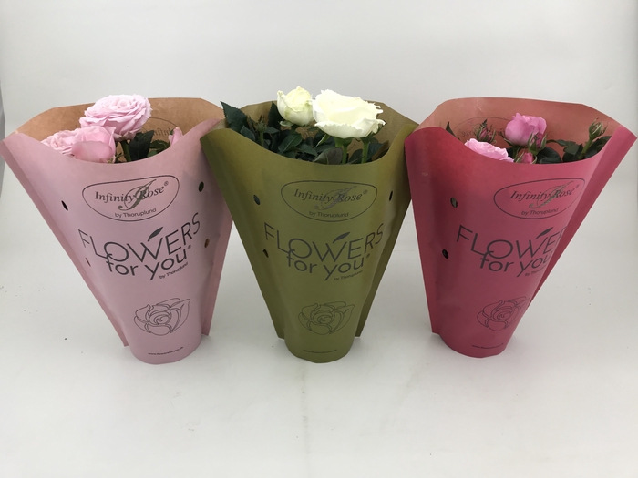 <h4>ROSA-HYBRID 10,5 PAPIEREN HOES</h4>