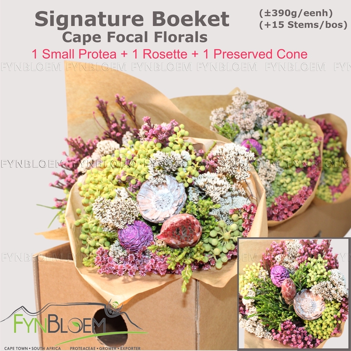 <h4>PROTEA PER BOS</h4>