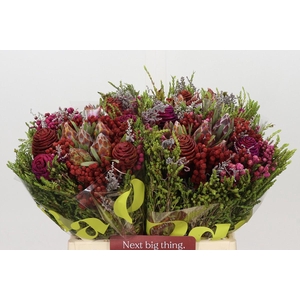 Kaaps Groen Cone Mix Bos