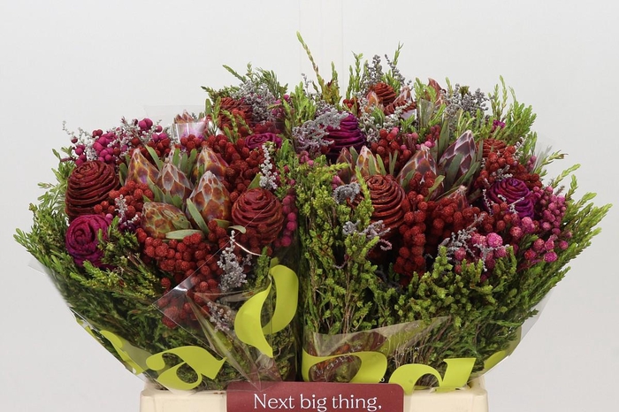 <h4>Kaaps Groen Cone Mix Bos</h4>