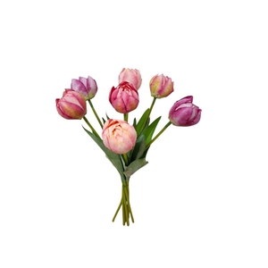AF Tulip Columbus Bundx7 L44cm