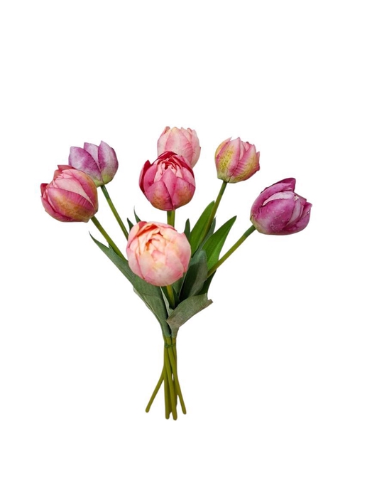 <h4>AF Tulip Columbus Bundx7 L44cm</h4>
