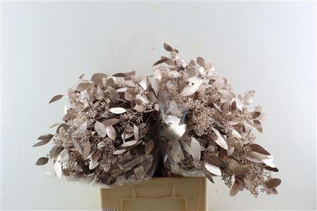 <h4>EUC PO FRU KLB BS H%</h4>