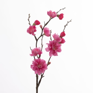 Af Prunus Pick L41cm Pink