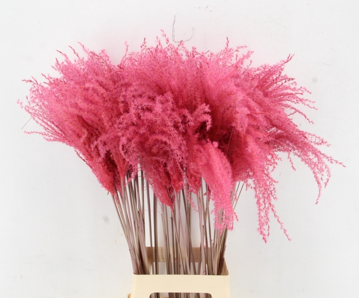 <h4>DROOGBL BEWERKT H%</h4>