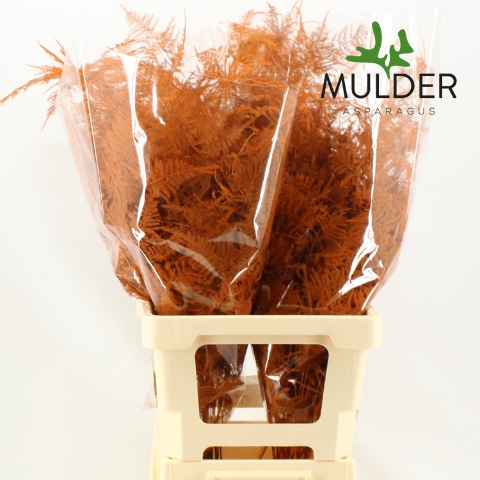 <h4>Asp Klb H% Extra Veren Orange</h4>