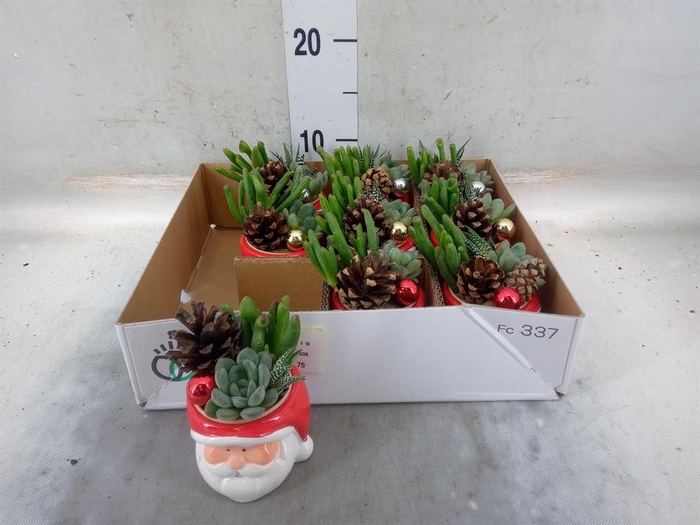 <h4>Arr. Kerst L%</h4>