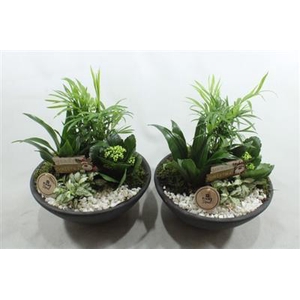 2424 EBBI INDOOR WIT WIT