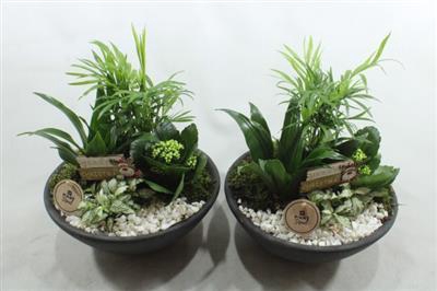 <h4>2424 Ebbi Indoor Wit Wit</h4>