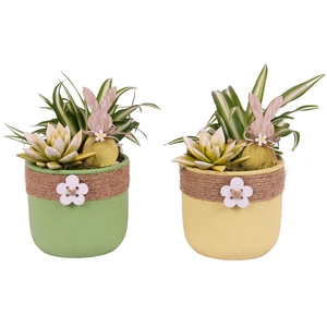 Easter Arr. Indoor Ceramic Pot Round Rope Flower Ø14cm 2PP