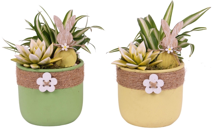 <h4>Easter Arr. Indoor Ceramic Pot Round Rope Flower Ø14cm 2PP</h4>