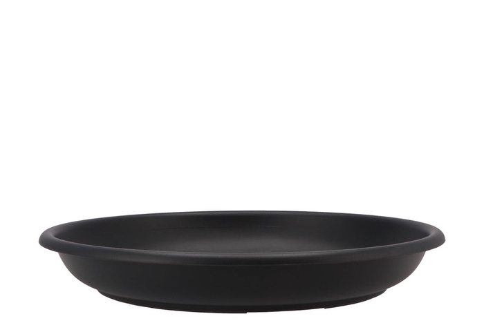 Floristry Plate 35cm P/10 Black