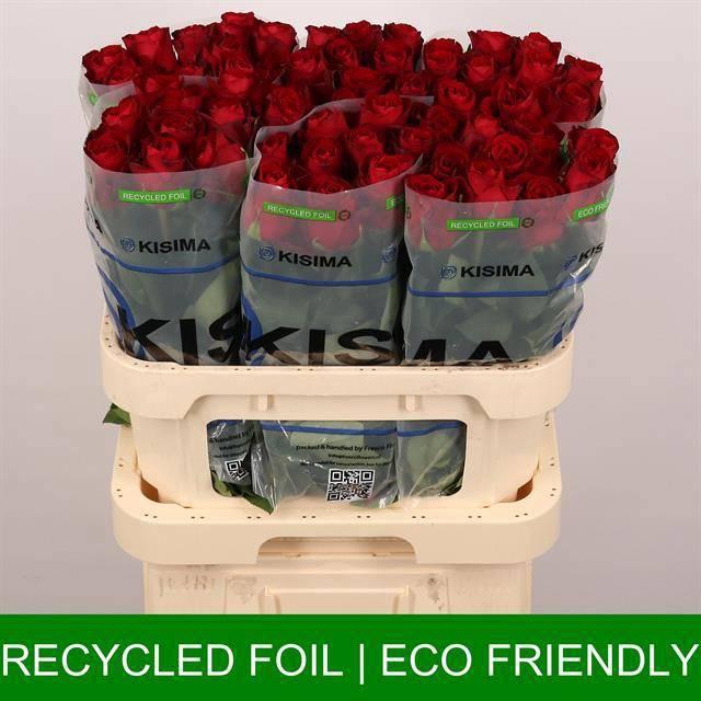 <h4>R GR MADAM RED</h4>