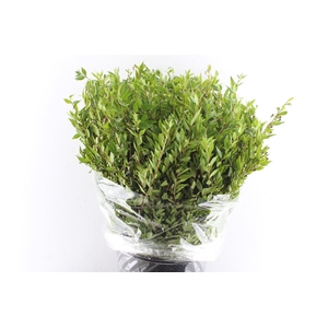 Mirthe Berry 400 Gram