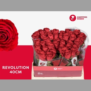 R GR REVOLUTION