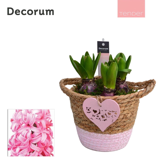 <h4>Hyacint Basket Colour HL14864PP [TENDER]</h4>