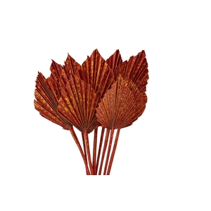 Dried Artz Palm Spear 10pc Picasso Bunch