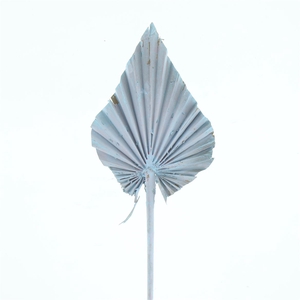 Dried Palm Spear Light Blue