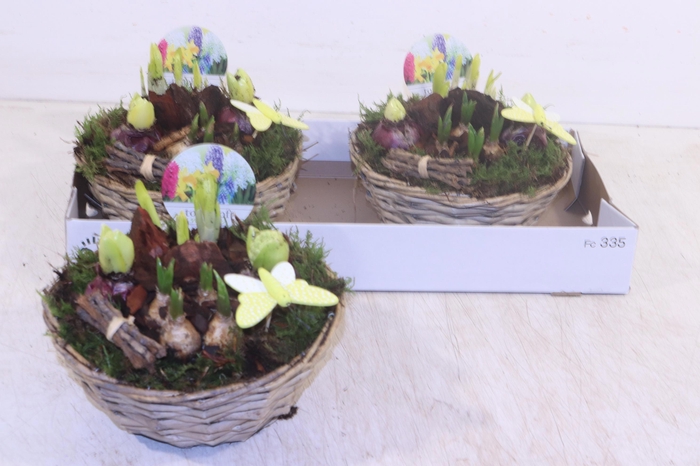 <h4>ARR BOL KNOLGEWAS</h4>