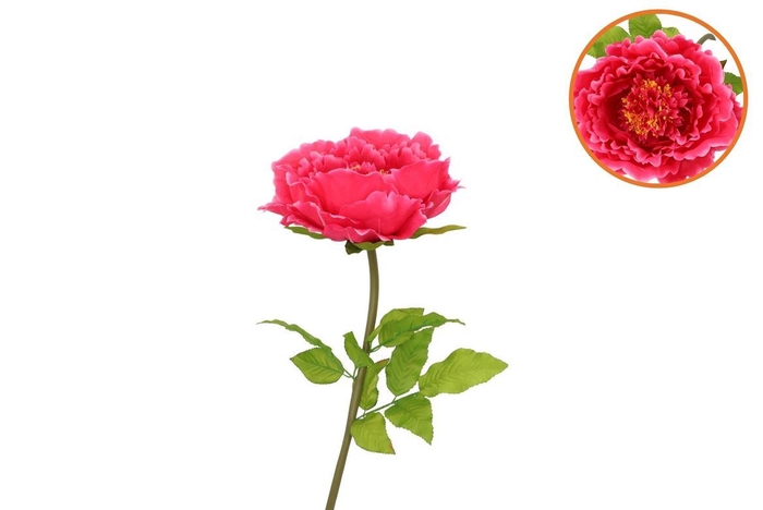 <h4>Silk Amazing Peony Beauty Fuchsia L 28x100cm</h4>