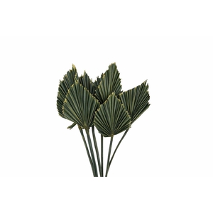 Dried Palm Spear 10pc Olive Gold Bunch
