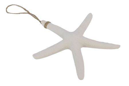 Hanger Linckia Starfish Rnd L22W3H21