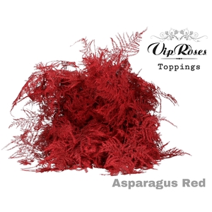 ASP OV 1E VEREN RED