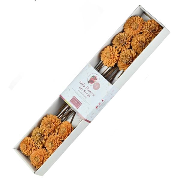 <h4>Sola Starley 8cm O/s 12pc Burnt Orange</h4>