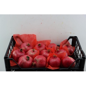 Sier Granaatappel Red X12 P Box