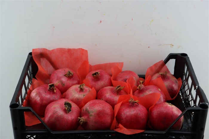 <h4>Sier Granaatappel Red X12 P Box</h4>