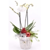 Wilg bloempot wit 18cm