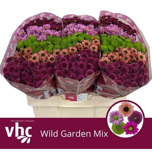 Chr S Wild Garden Mix