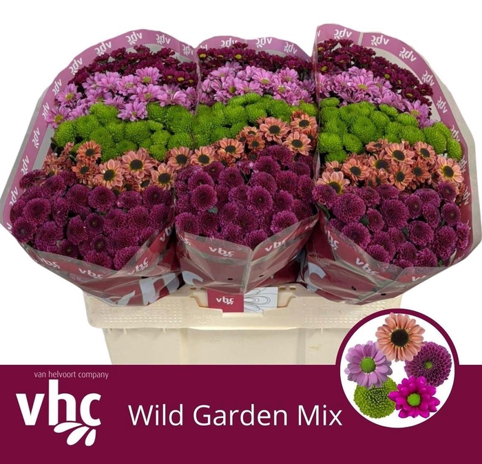 <h4>Chr S Wild Garden Mix</h4>