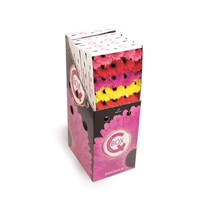 Gerbera mix Q Box  packaging.q_box