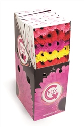 Gerbera mix Q Box  Aquabox