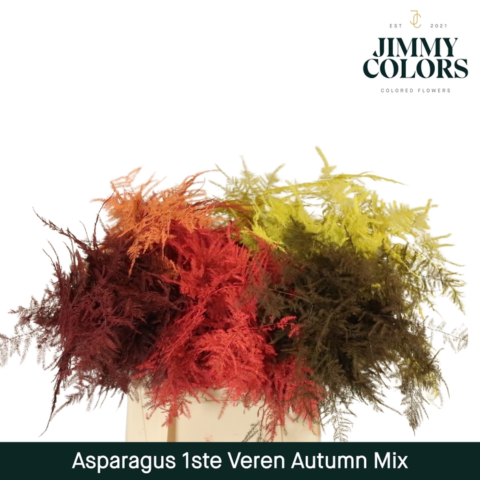 <h4>Asparagus 1ste Autumn mix</h4>