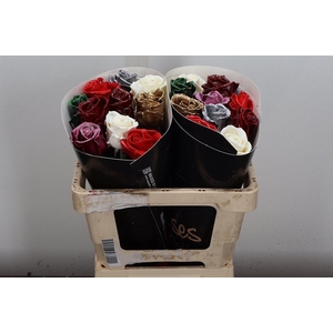 R Ov Wx 50cm Mix Kerstmix