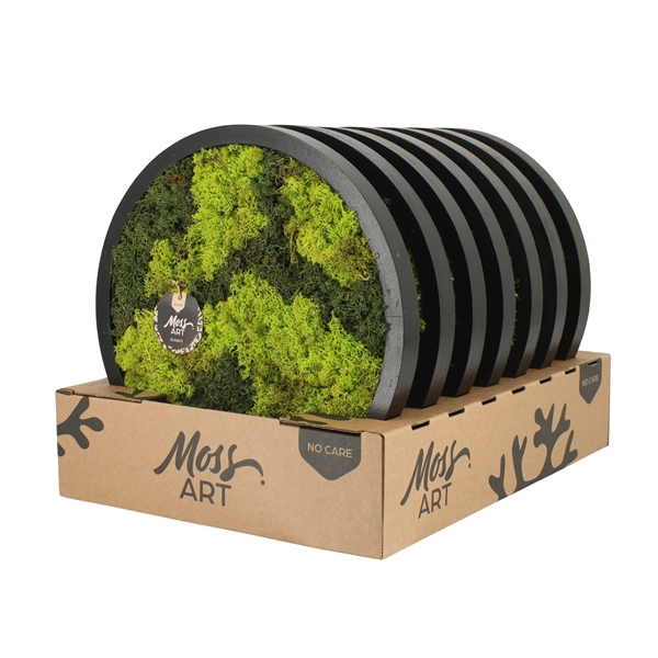 <h4>90779: Moss Art arrangement D38</h4>