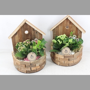 arr2 PL - Hout huisje half rond x6 - roze/wit