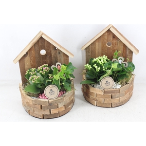 arr2 PL - Hout huisje half rond x6 - roze/wit