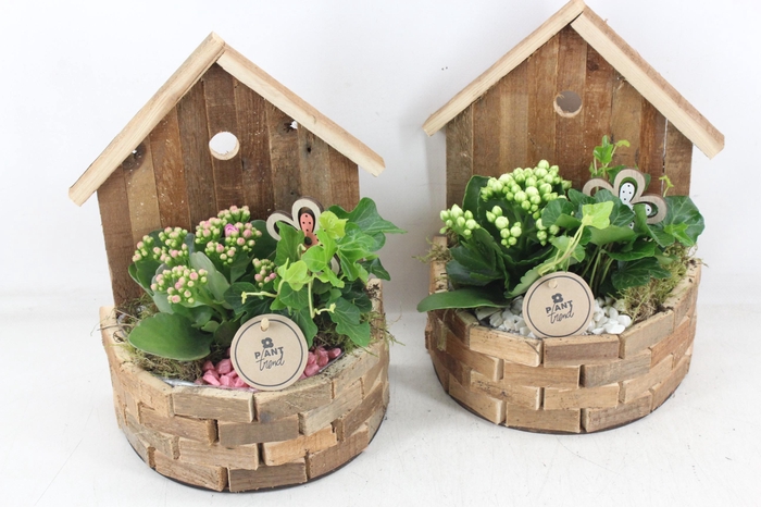 <h4>arr2 PL - Hout huisje half rond x6 - roze/wit</h4>