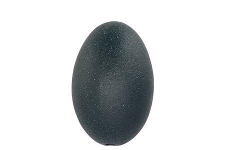 <h4>Eggs Emu Vogel Black P/1 Nm</h4>