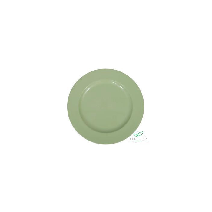 <h4>PLASTIC PLATE GREEN D28</h4>