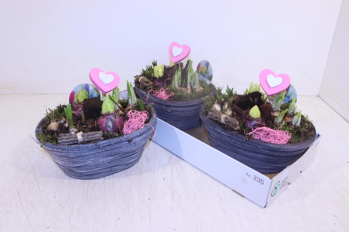 <h4>ARR BOL KNOLGEWAS</h4>