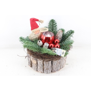 arr5 Kerst JS - Boomschors rond red