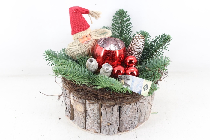 <h4>arr5 Kerst JS - Boomschors rond red</h4>