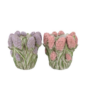 Dante Pink Lilac Pot Hyacinth Ass 29x28x30cm