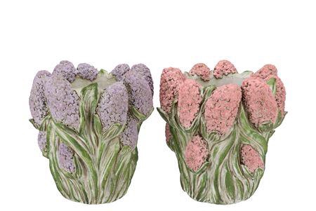 <h4>Dante Pink Lilac Pot Hyacinth Ass 29x28x30cm</h4>