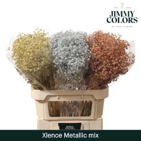 <h4>Gyps Xlence L80 Mtlc. Mix</h4>